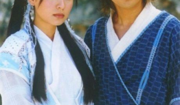 古装武侠电视剧,剑影侠骨，古风传奇