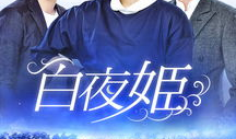 狎鸥亭白夜 电视剧,都市迷影下的情感纠葛