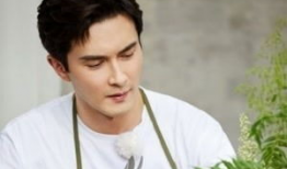 高伟光电视剧,从英雄到传奇的蜕变之旅